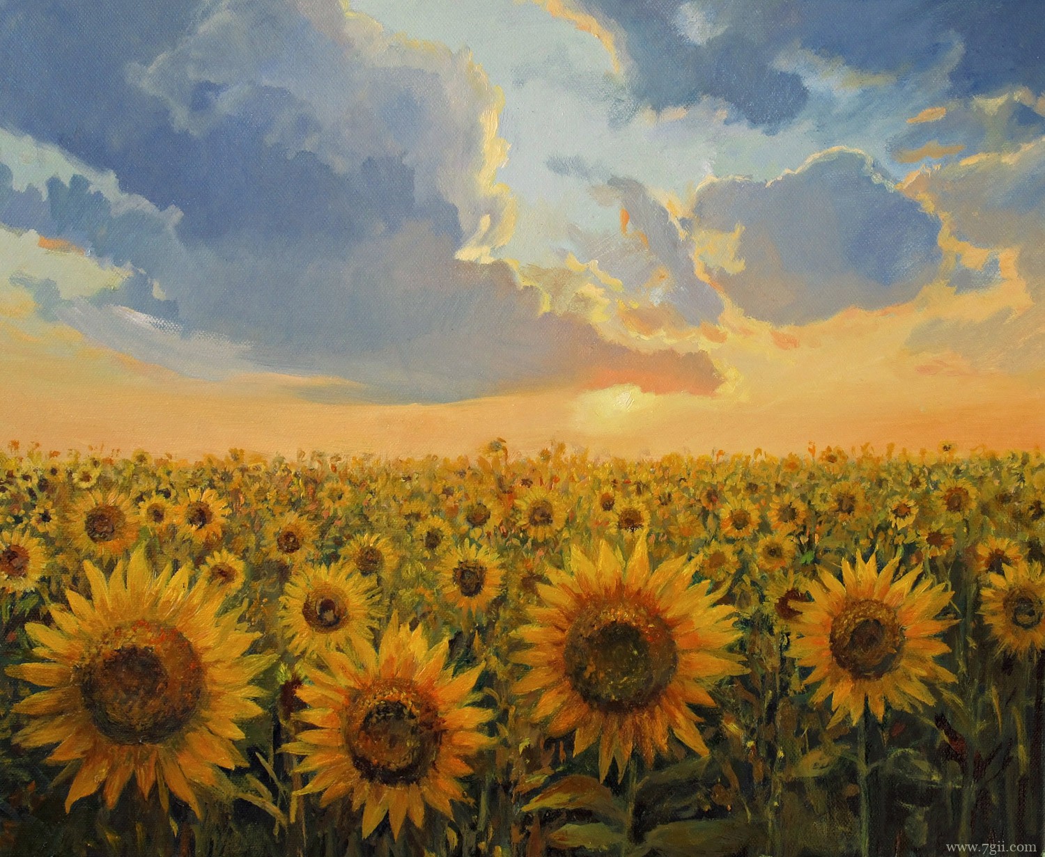 立夏代表性植物是什么