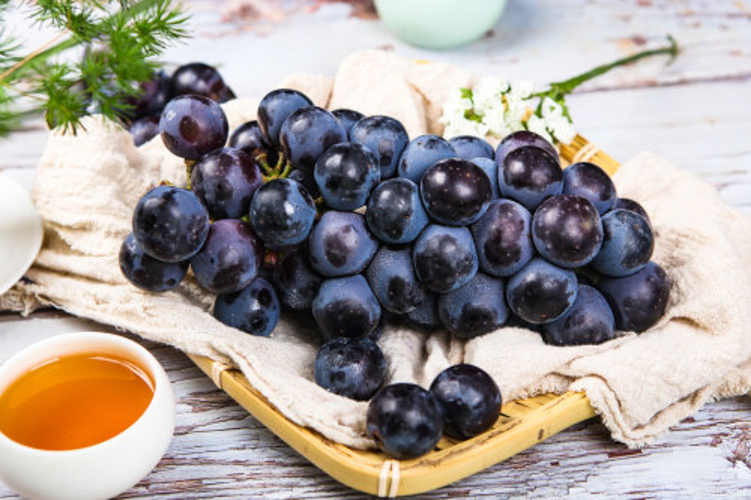 比阳光玫瑰还好的葡萄品种