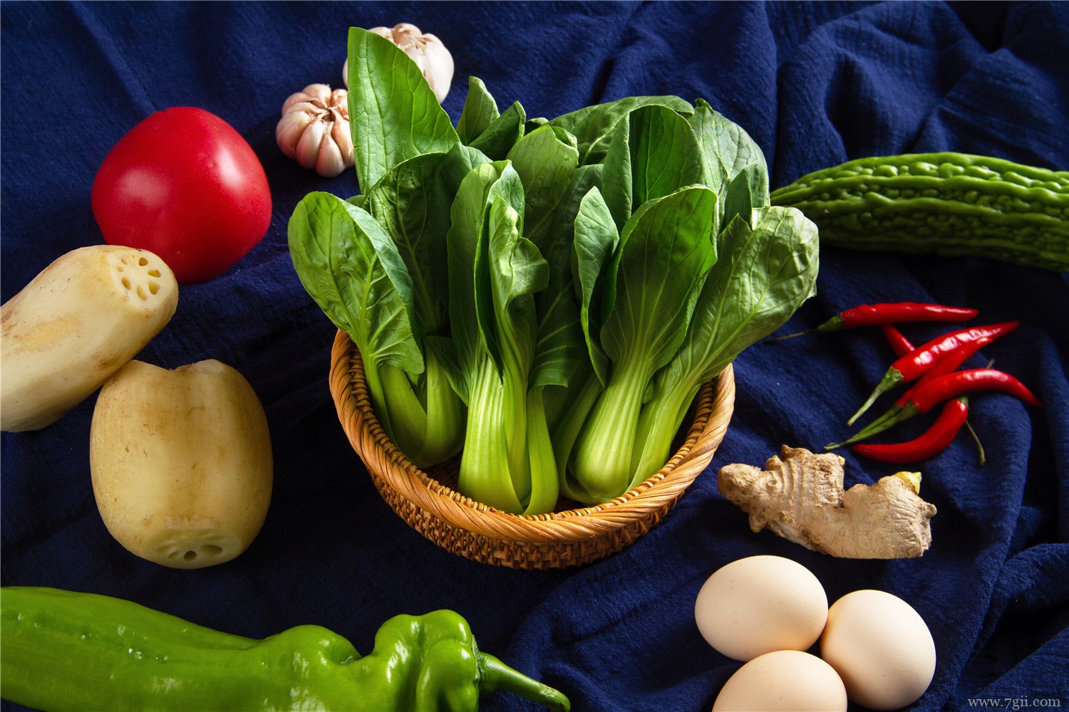 油菜 春季蔬菜有哪些