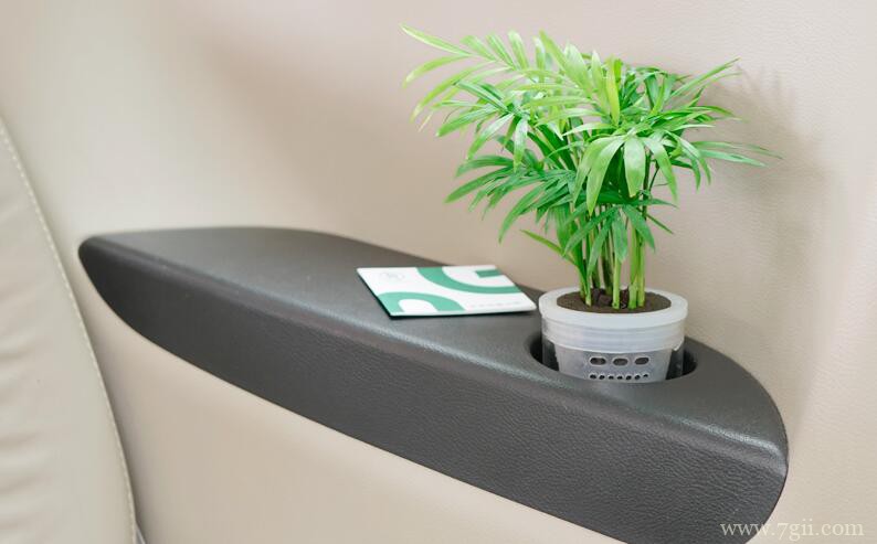 袖珍椰子怎么养殖？养殖袖珍椰子需要注意什么？