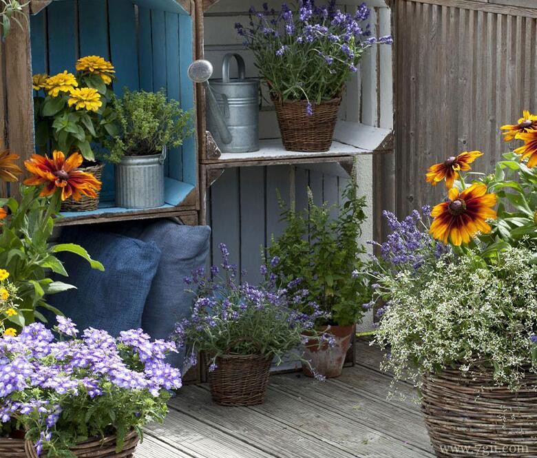 薰衣草的图片大全，薰衣草高清图片！