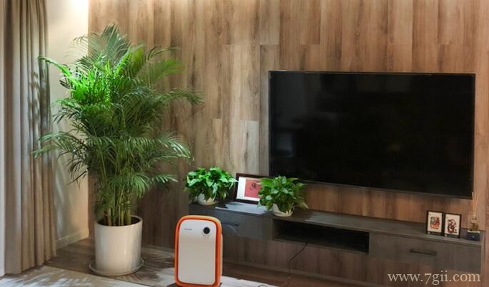 散尾葵怎么养殖？散尾葵的养殖方法和注意事项