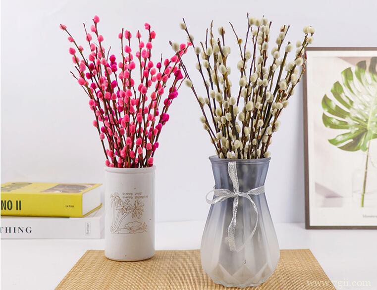 银柳怎么养殖？银柳的养殖方法