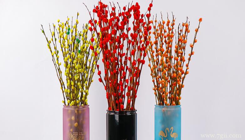 刚买的干支银柳怎么养护？