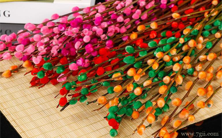 刚买的干支银柳怎么养护？