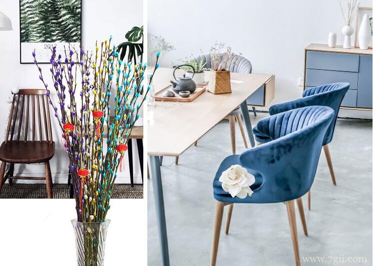 银柳怎么科学的养护管理？