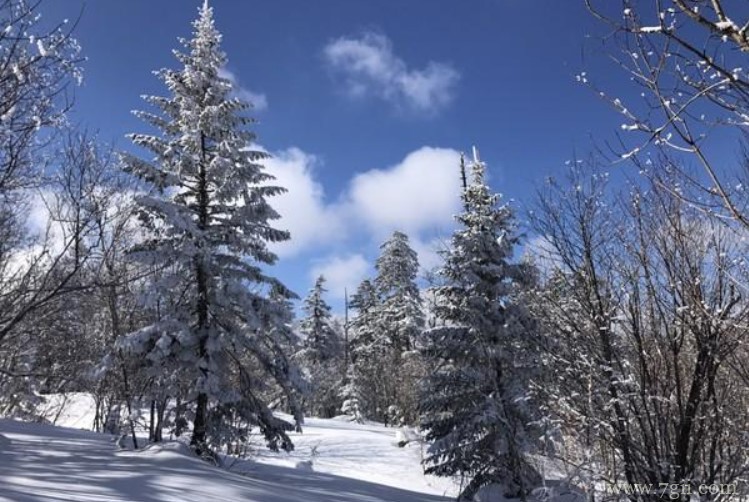 淮安市适合养什么花？