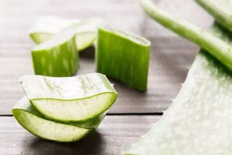 哪些品种的芦荟可以吃？